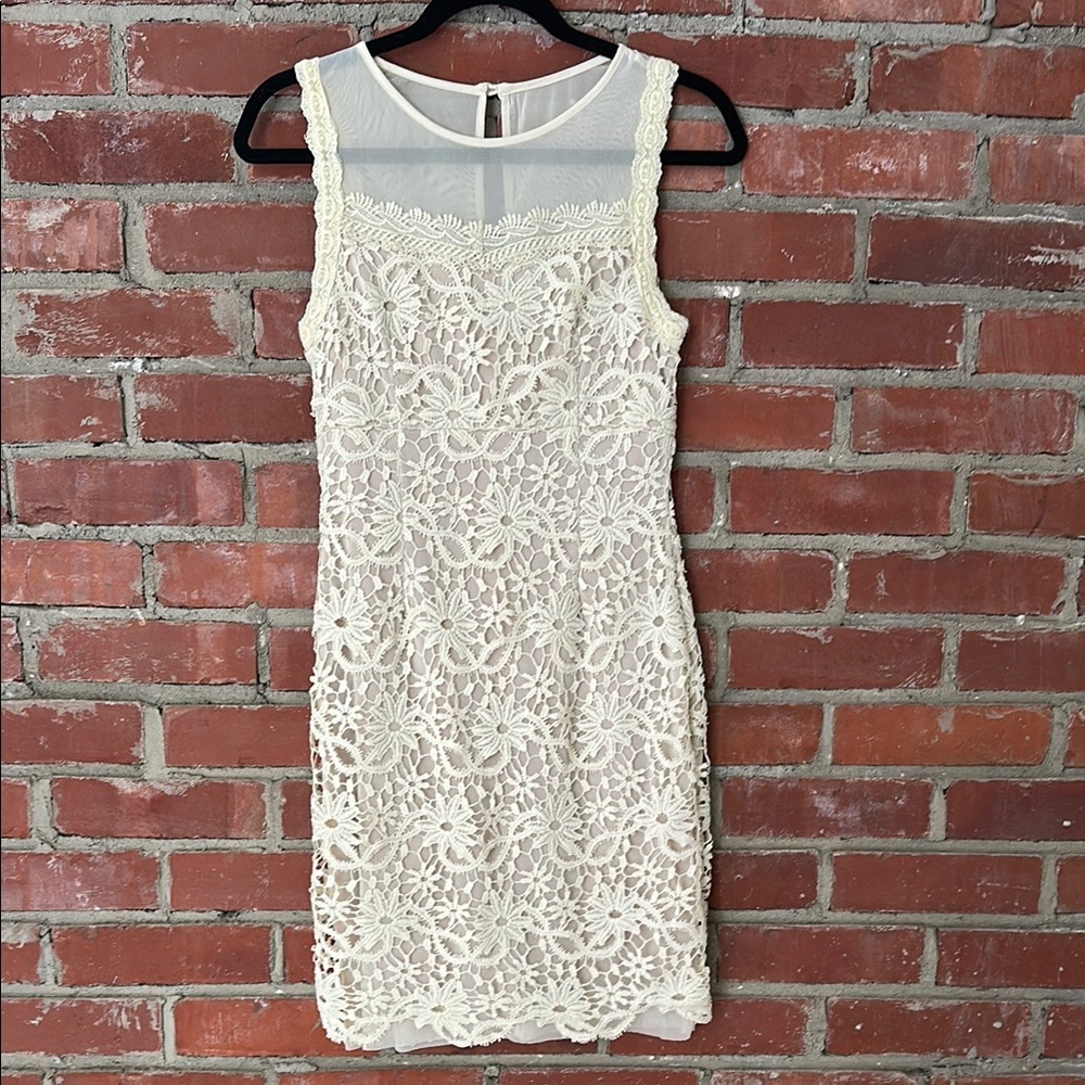 Elegant Lace Sleeveless Dress